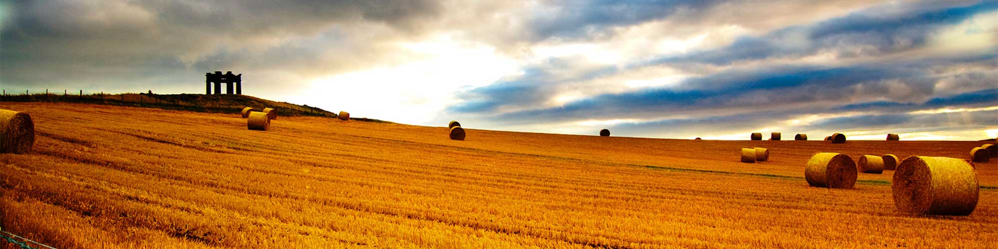 Bales of hay