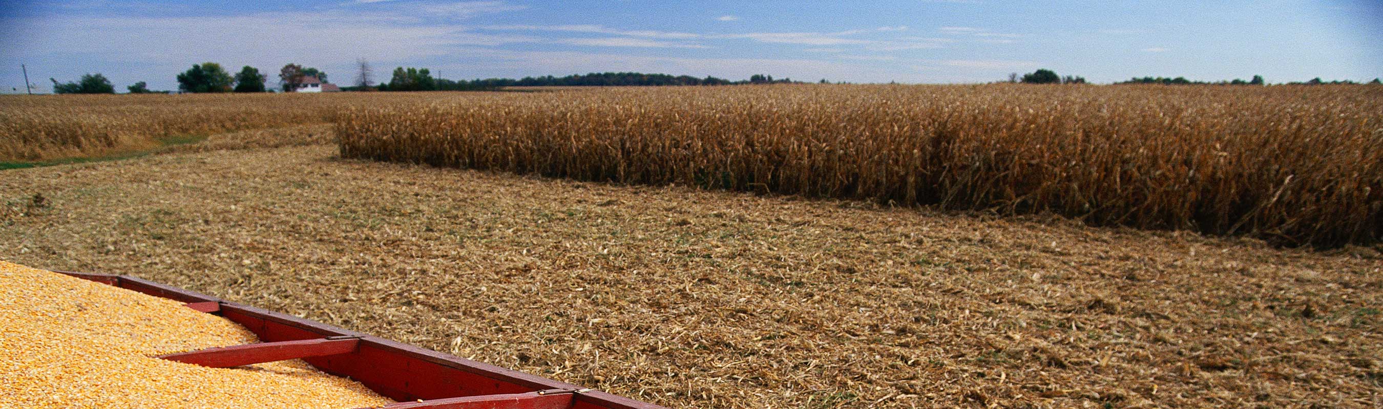 grain cart full of corn