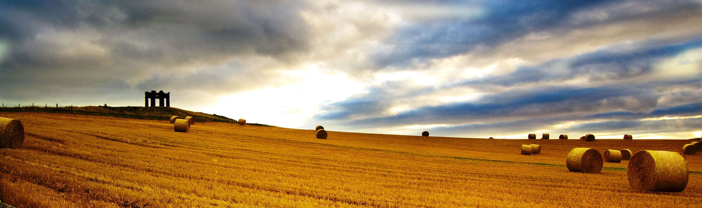 Bales of hay